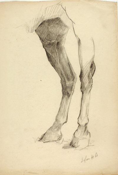 Pferdebein von Solon H. Borglum