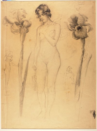 Akt und Iris von Solon H. Borglum