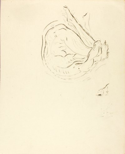 Schwimmer von Solon H. Borglum