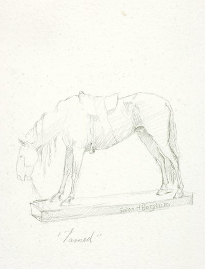Gezähmt von Solon H. Borglum