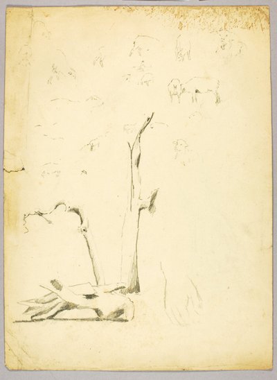 Baumstämme und Schafe von Solon H. Borglum