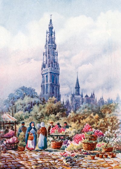 Kathedrale und Place Verte, Antwerpen von Sophie D