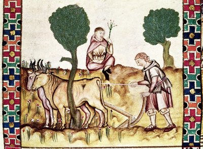 Fol.237r Ein Bauer lehrt seinen Sohn, ein Feld zu pflügen von Spanish School