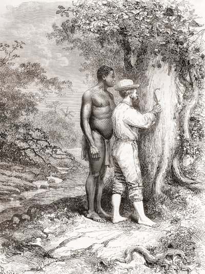 Jules Crevaux, während seiner Erkundung von Französisch-Guayana im Jahr 1878, schnitzt seine Initialen in einen Baum am Ufer des Oyapock- oder Oiapoque-Flusses von Spanish School