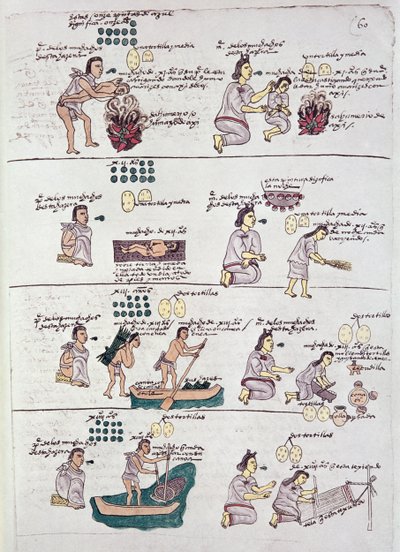 Seite aus dem Codex Mendoza, zeigt Disziplin und Aufgaben, die Kindern zugewiesen wurden, Mexiko, ca. 1541-42 von Spanish School