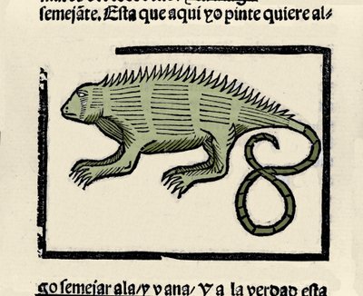 Darstellung einer Echse. Gravur aus dem Buch „Historia general de las Indias, islas y tierra firme del mar oceano“ von Gonzalo Fernandez de Oviedo (1478-1557) von Spanish School