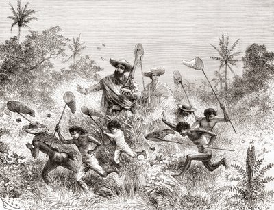 Édouard François André beim Schmetterlingsfangen in Villavicencio, Venezuela während seiner botanischen Expedition in den Ausläufern der Anden 1875-76 von Spanish School