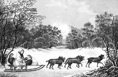 Die Art des Reisens im Winter in Kamtschatka, 19. Jahrhundert von Sparrow