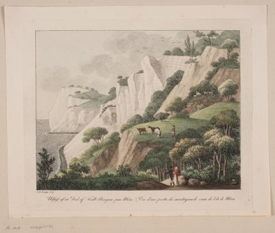 Ansicht eines Teils der Kreidefelsen auf Møn von Søren L. Lange