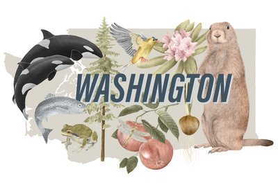 Symbole des Bundesstaates Washington von Stacy Hsu