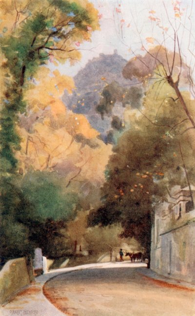 Eine Straße in Cintra von Stanley Inchbold