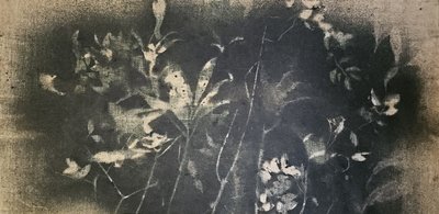 Dunkle Botanische Studie von Stefano Mazzolini