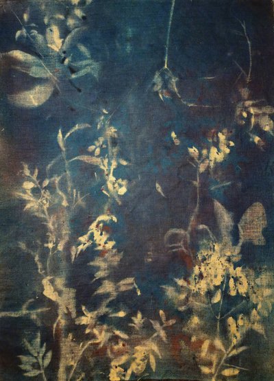 Ätherische Blaue Botanicals von Stefano Mazzolini