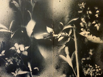 Ätherische Botanische Formen von Stefano Mazzolini