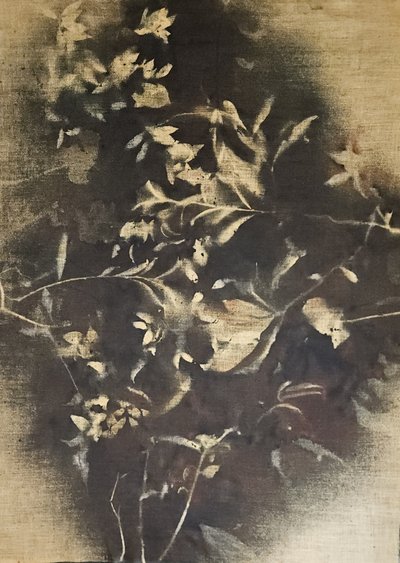 Stimmungsvolle Blütenschatten von Stefano Mazzolini