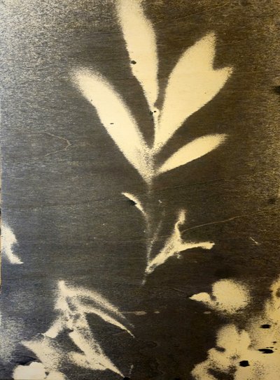 Markante Botanische Silhouette von Stefano Mazzolini
