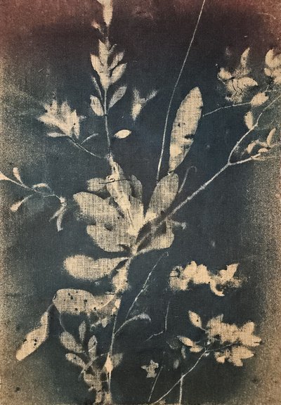 Vintage Blaue Botanicals von Stefano Mazzolini