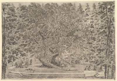 Ein großer bewohnter Baum in der Mitte mit Rampen um den Stamm, darunter ein Steinpfad von Stefano della Bella
