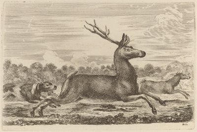 Hirsch von zwei Hunden nach links gejagt von Stefano della Bella