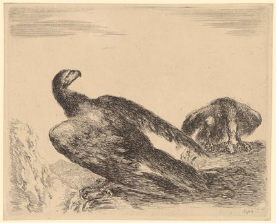 Flügelspreizender und fressender Adler, Blatt 4 der Folge "Adler" von Stefano della Bella