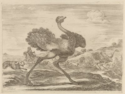 Straußenjagd von Stefano della Bella