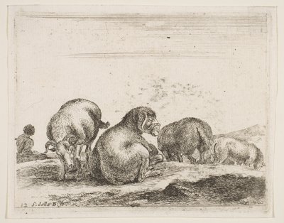 Tafel 12: Schafe und Widder auf einer Weide, aus Verschiedene Tiere, ca. 1641 von Stefano della Bella