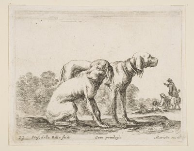 Tafel 23: zwei Hunde, aus Verschiedene Tiere Diversi animali, ca. 1641 von Stefano della Bella
