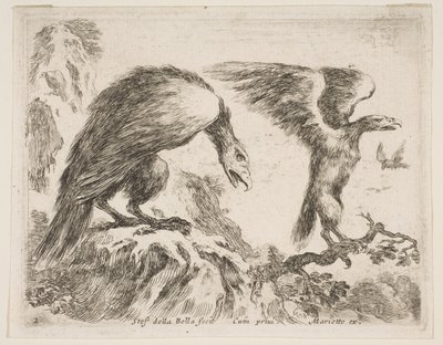 Tafel 2: Adler und Adlerjunges, aus Verschiedene Tiere, ca. 1641 von Stefano della Bella