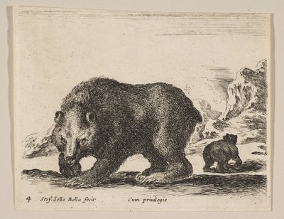Tafel 4: Bär, aus 
