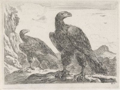 Zwei Adler mit Köpfen nach rechts von Stefano della Bella