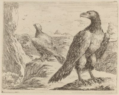 Zwei Adler, beide mit nach links gedrehten Köpfen von Stefano della Bella