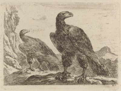 Zwei Adler, beide mit Köpfen nach rechts gedreht von Stefano della Bella