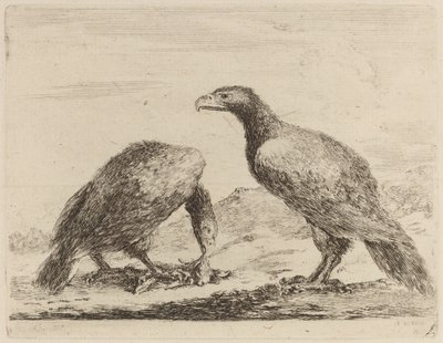 Zwei Adler, einer frisst ein kleines Lamm von Stefano della Bella