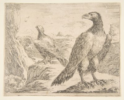 Zwei Adler, aus Eagles Les aigles, ca. 1651 von Stefano della Bella