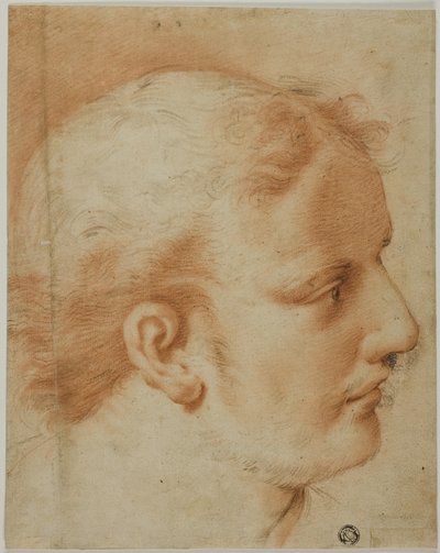 Kopf eines jungen Mannes, im Profil nach rechts von Style of Benedetto Luti