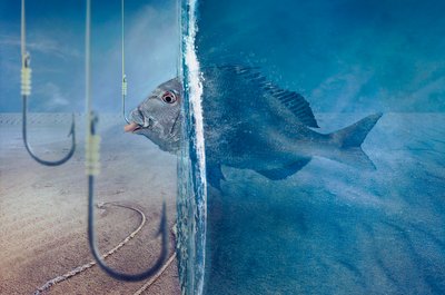 Fischgesichter Versuchung von Sulaiman Almawash