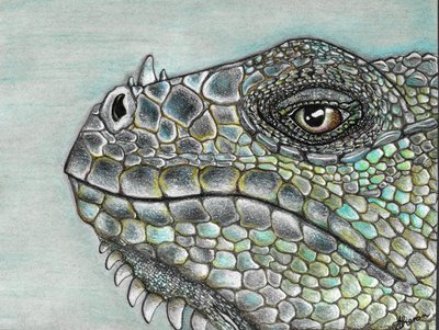 Lebhafte Leguan-Schuppen von Sunet Theron