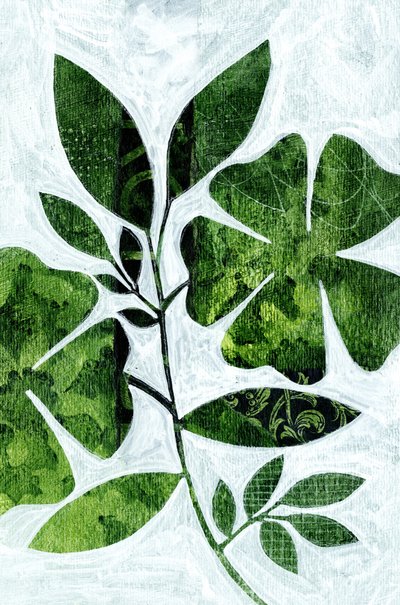 Botanische Blattstudie von Susan Black