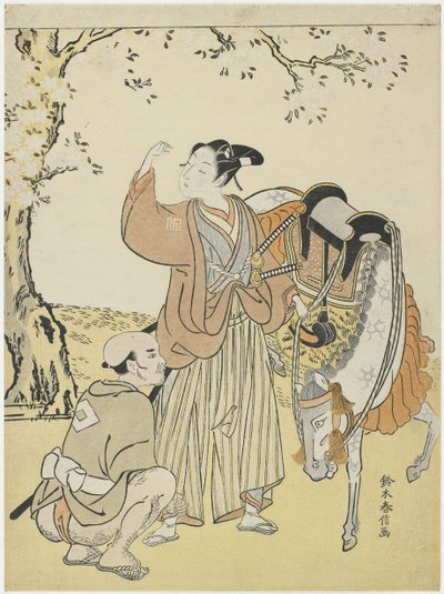 Junger Samurai betrachtet Kirschblüten als Mitate von Prinz Kaoru, ca. 1767 von Suzuki Harunobu
