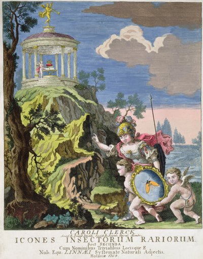 Frontispiz von Icones Insectorum Rariorum von C. Clerck, Schweden, 1764 von Swedish School