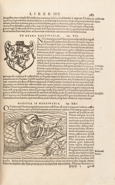 Seite 983 aus Cosmographiae Universalis von Sebastian Muenster, Basel, 1572 von Swiss School