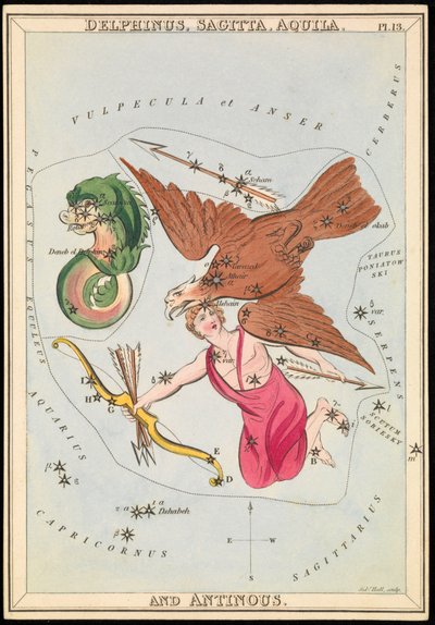 Delphinus, Sagitta, Aquila und Antinous, um 1825 von Sydney Hall