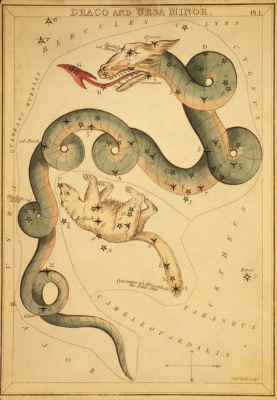 Draco und Ursa Minor, Illustration aus 