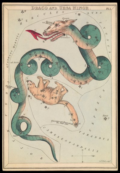 Draco und Ursa Minor, ca. 1825 von Sydney Hall