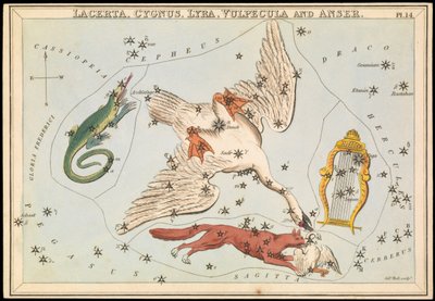 Lacerta, Cygnus, Lyra, Vulpecula und Anser, ca. 1825 von Sydney Hall