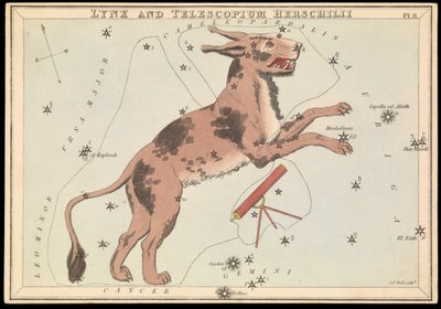 Luchs und Telescopium Hereschilii, ca. 1825 von Sydney Hall