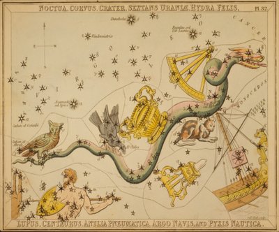 Noctua, Corvus, Crater, Sextans Uraniæ, Hydra, Felis, Lupus, Centaurus, Antlia Pneumatica, Argo Navis und Pyxis Nautica, Illustration aus 