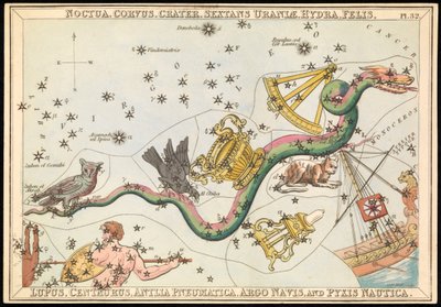 Noctua, Corvus, Crater, Sextans Uraniae, Hydra, Felis, Lupus, Centaurus, Antilia Pnuematica, Argo Navis und Pysix Nautica, um 1825 von Sydney Hall
