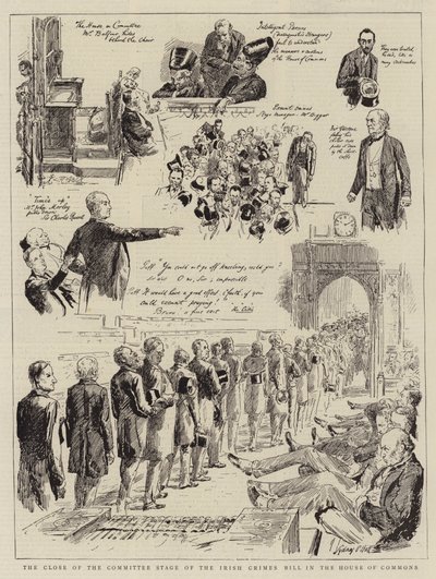 Das Ende der Ausschussphase des irischen Verbrechensgesetzes im Unterhaus von Sydney Prior Hall