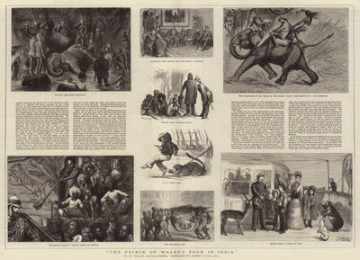 Die Indienreise des Prinzen von Wales von Sydney Prior Hall